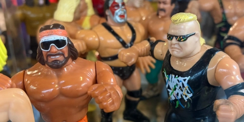 Masters of the Universe figures